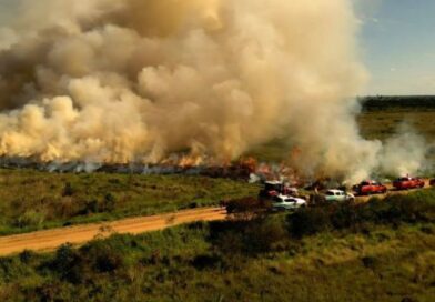 Para conservar e proteger biomas, Governo de MS realiza técnica de queima prescrita em parque estadual