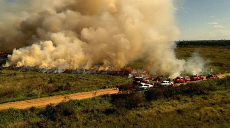 Para conservar e proteger biomas, Governo de MS realiza técnica de queima prescrita em parque estadual