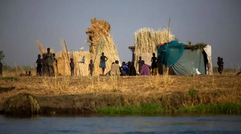 Fome mundial atinge 645 milhões de pessoas, diz relatório da ONU